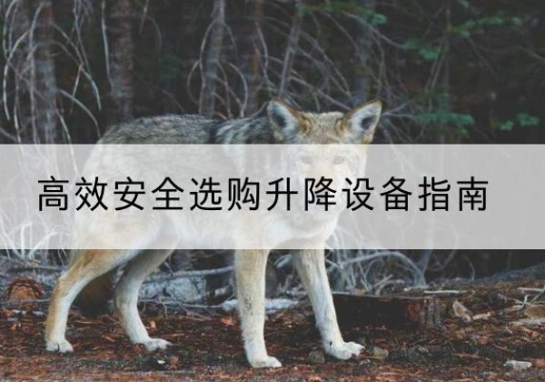 泸西升降货梯厂家推荐-*安全选购升降设备指南