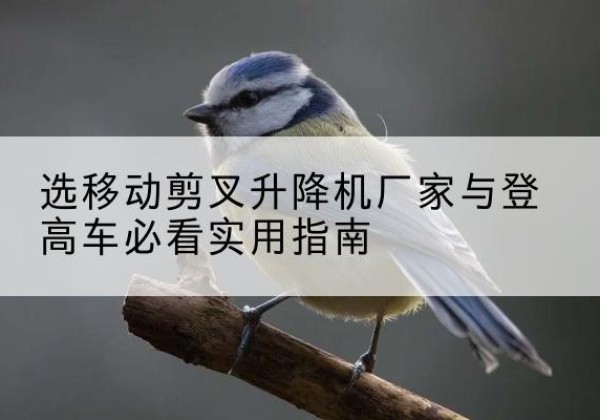 泸西电动升降机厂家-选移动剪叉升降机厂家与登高车必看实用指南