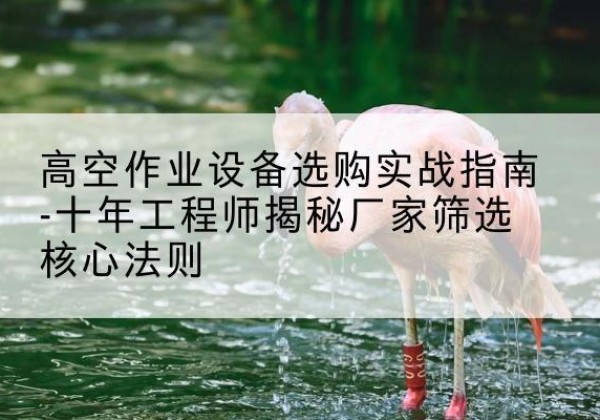 泸西剪叉式升降机厂家-高空作业设备选购实战指南-十年工程师揭秘厂家筛选核心法则